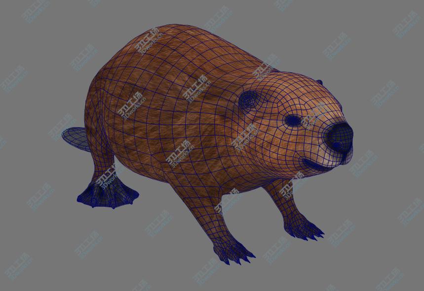 images/goods_img/2021040162/Beaver Realistic/2.jpg
